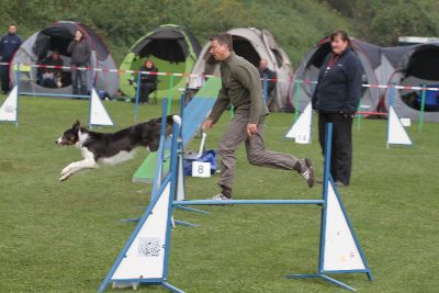Agility-Turnier_2011