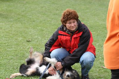 Agility-Turnier_2011