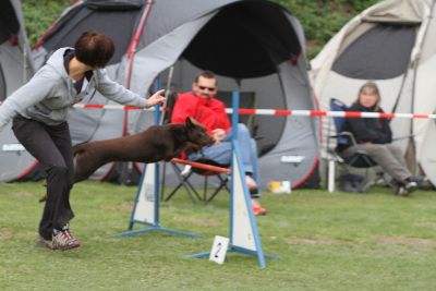 Agility-Turnier_2011