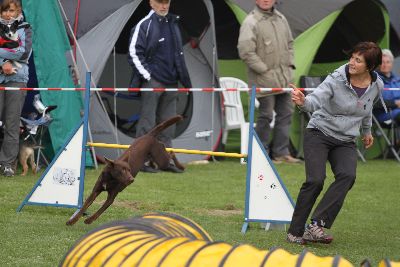 Agility-Turnier_2011