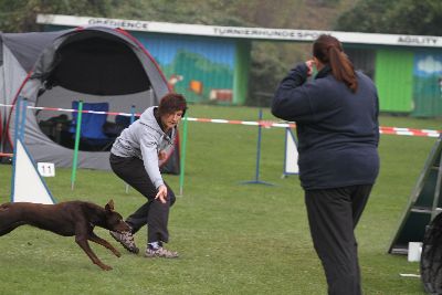 Agility-Turnier_2011