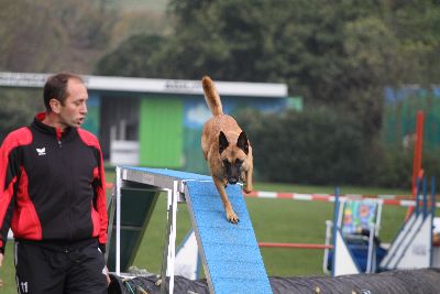 Agility-Turnier_2011
