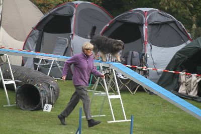 Agility-Turnier_2011