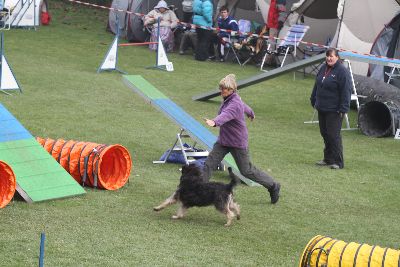 Agility-Turnier_2011