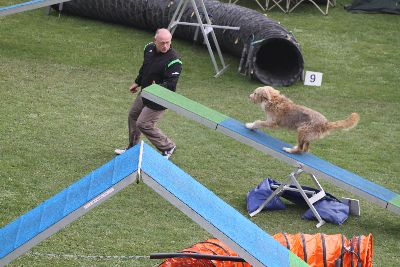 Agility-Turnier_2011