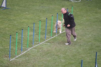 Agility-Turnier_2011