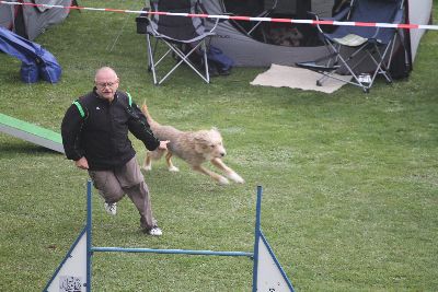 Agility-Turnier_2011