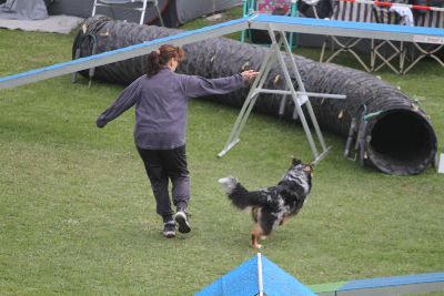 Agility-Turnier_2011