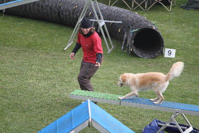 Agility-Turnier_2011