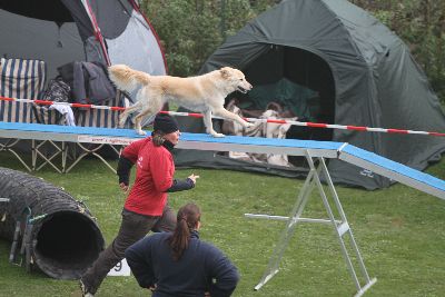 Agility-Turnier_2011