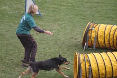 Agility-Turnier_2011