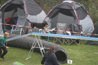 Agility-Turnier_2011