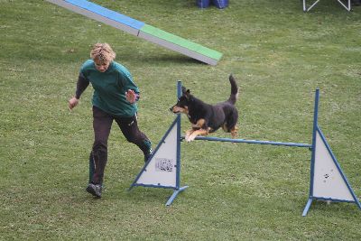 Agility-Turnier_2011