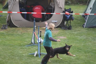 Agility-Turnier_2011