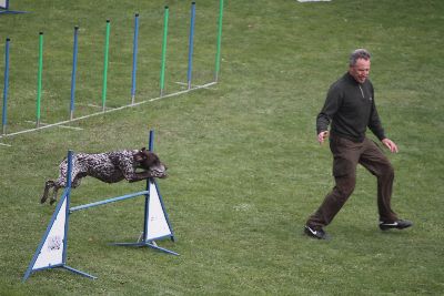 Agility-Turnier_2011
