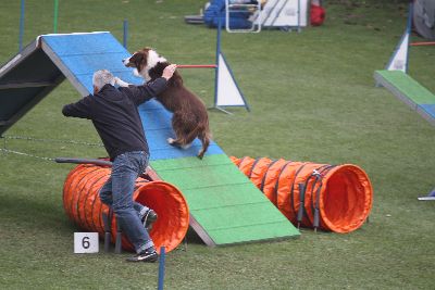 Agility-Turnier_2011