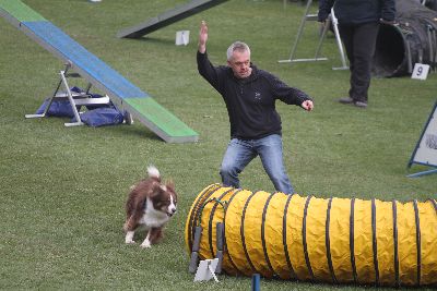 Agility-Turnier_2011