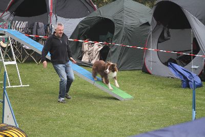 Agility-Turnier_2011