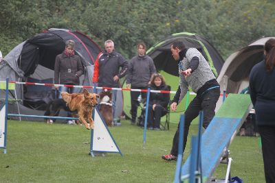 Agility-Turnier_2011