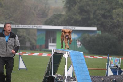 Agility-Turnier_2011