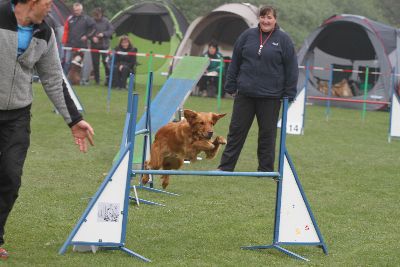 Agility-Turnier_2011