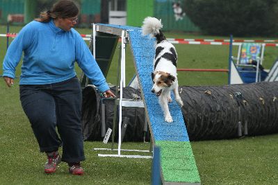 Agility-Turnier_2011