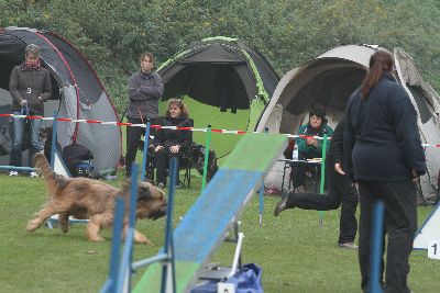 Agility-Turnier_2011