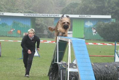 Agility-Turnier_2011