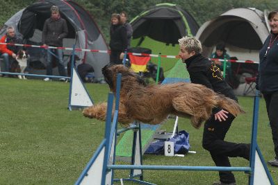 Agility-Turnier_2011