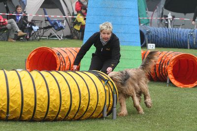 Agility-Turnier_2011