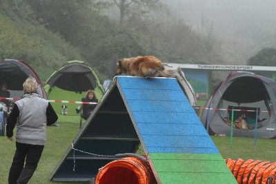 Agility-Turnier_2011