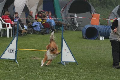 Agility-Turnier_2011