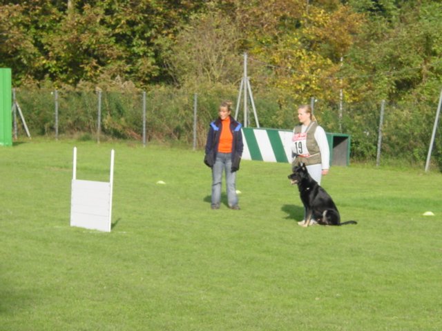 Obedience