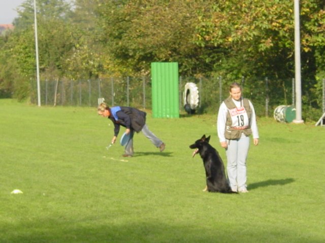 Obedience